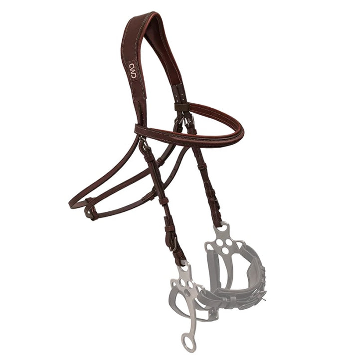 CWD Hackamore Bridle