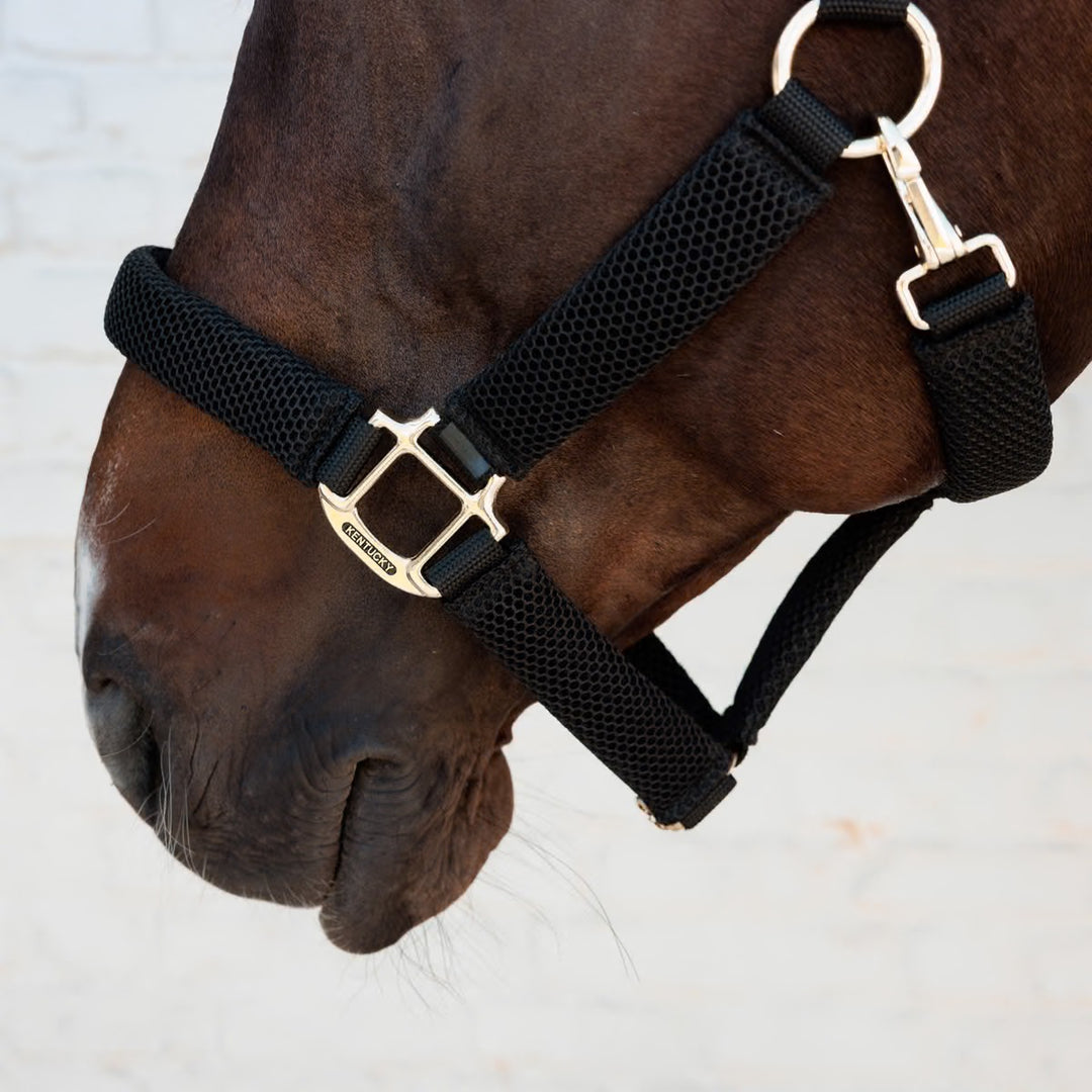 Kentucky Horsewear Halter 3D Mesh