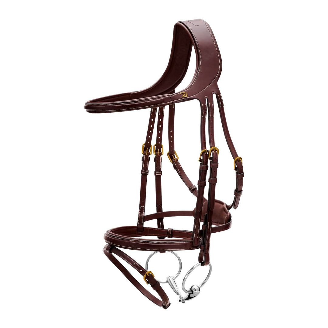 Dyon Difference Bridle