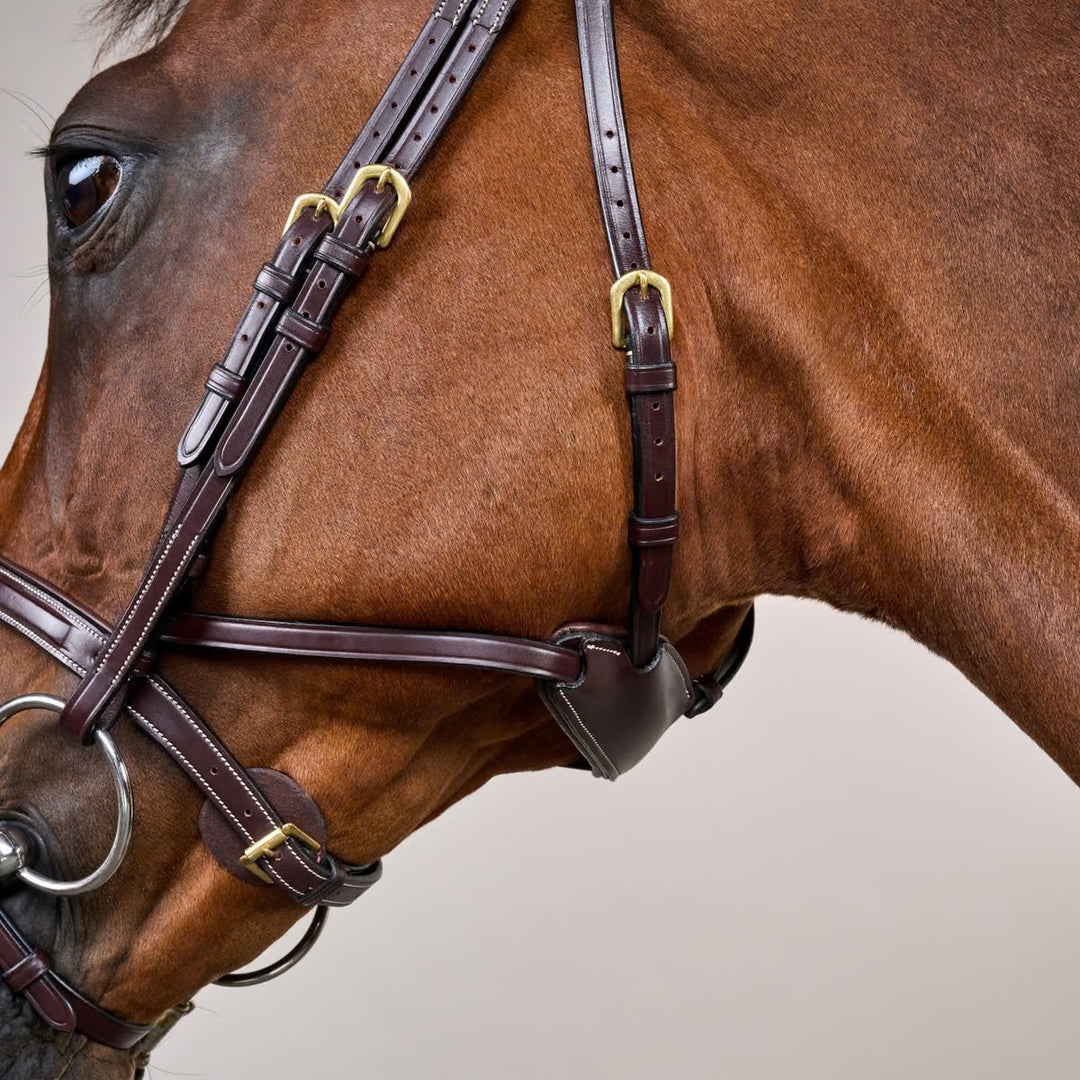 Dyon Difference Bridle