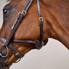 Dyon Difference Bridle