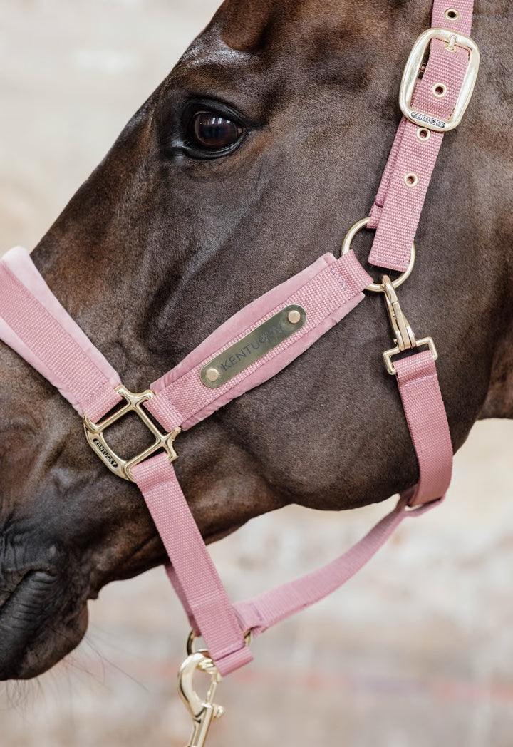 Kentucky Horsewear Velvet Halter