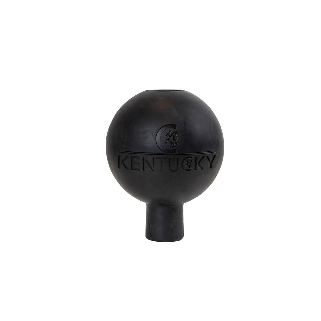 Kentucky Rubber Ball Protection Wall & Lead