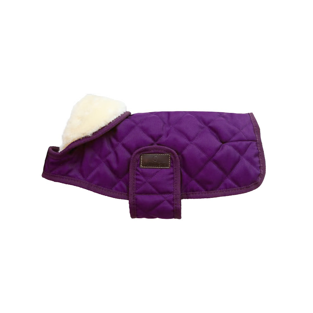 Kentucky Horsewear Dog Coat