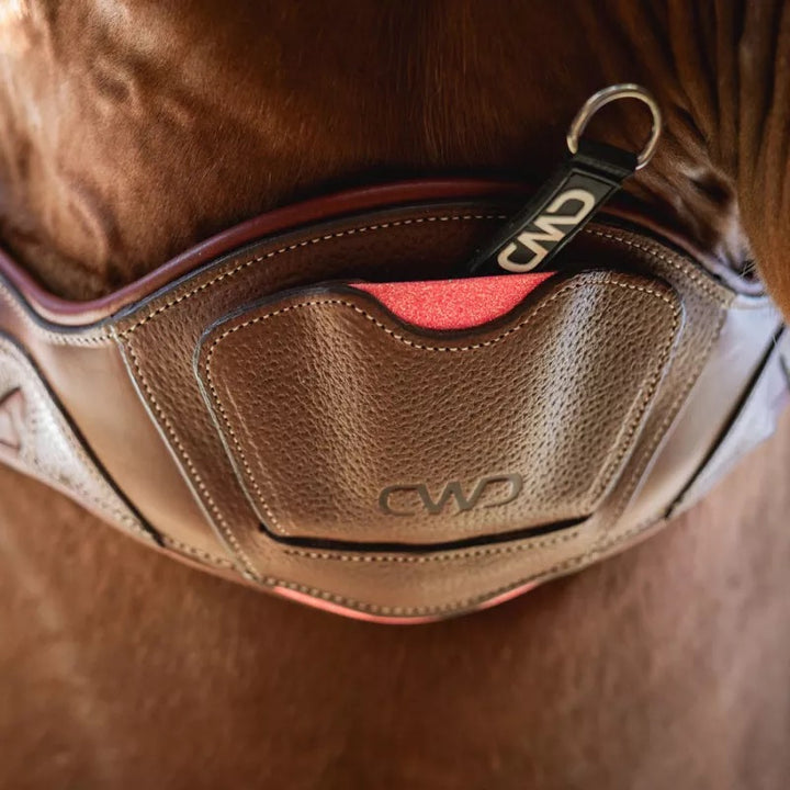 CWD Sport Color Flexmotion jumping girth