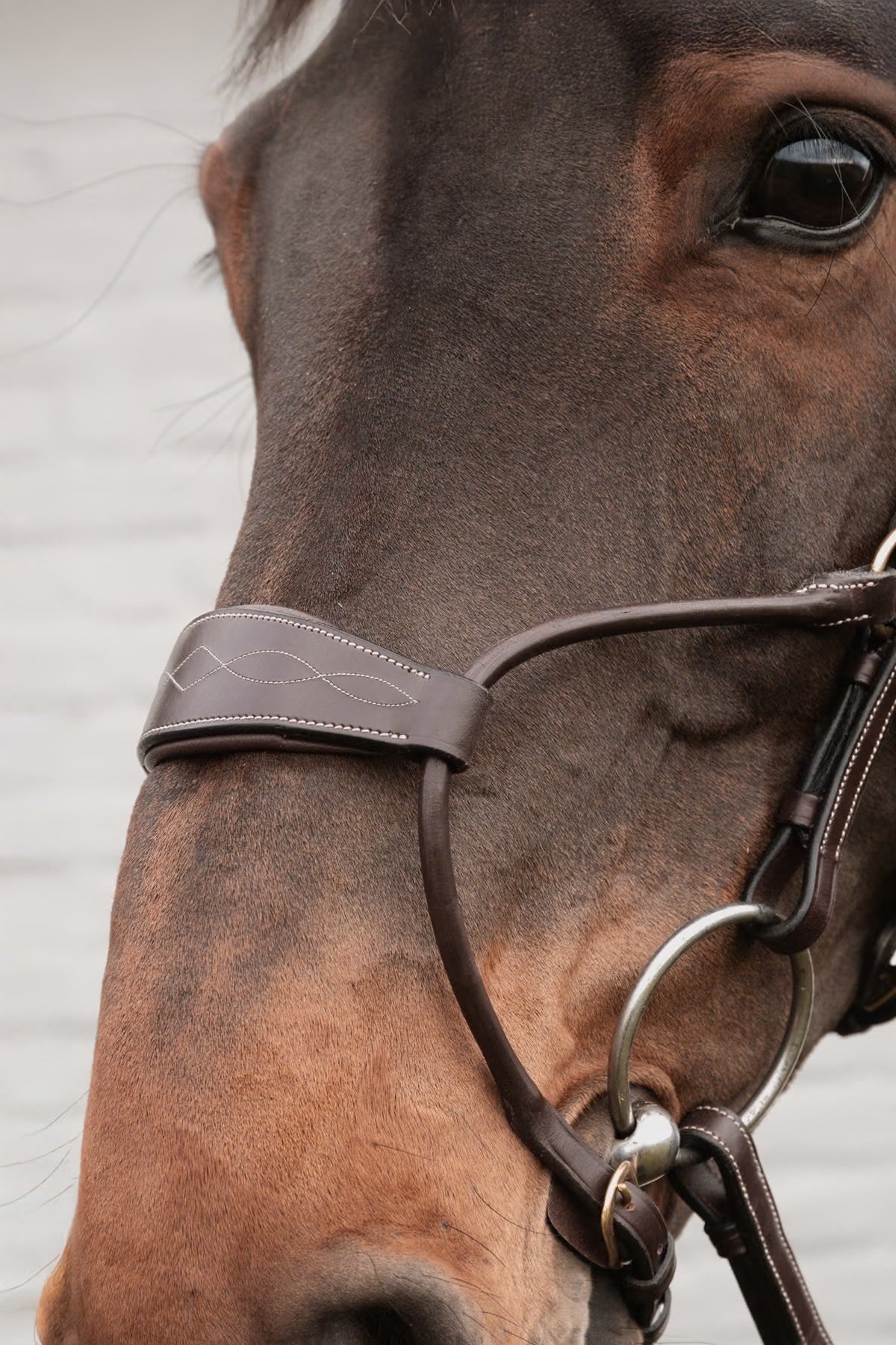 Dyon Hybrid Noseband