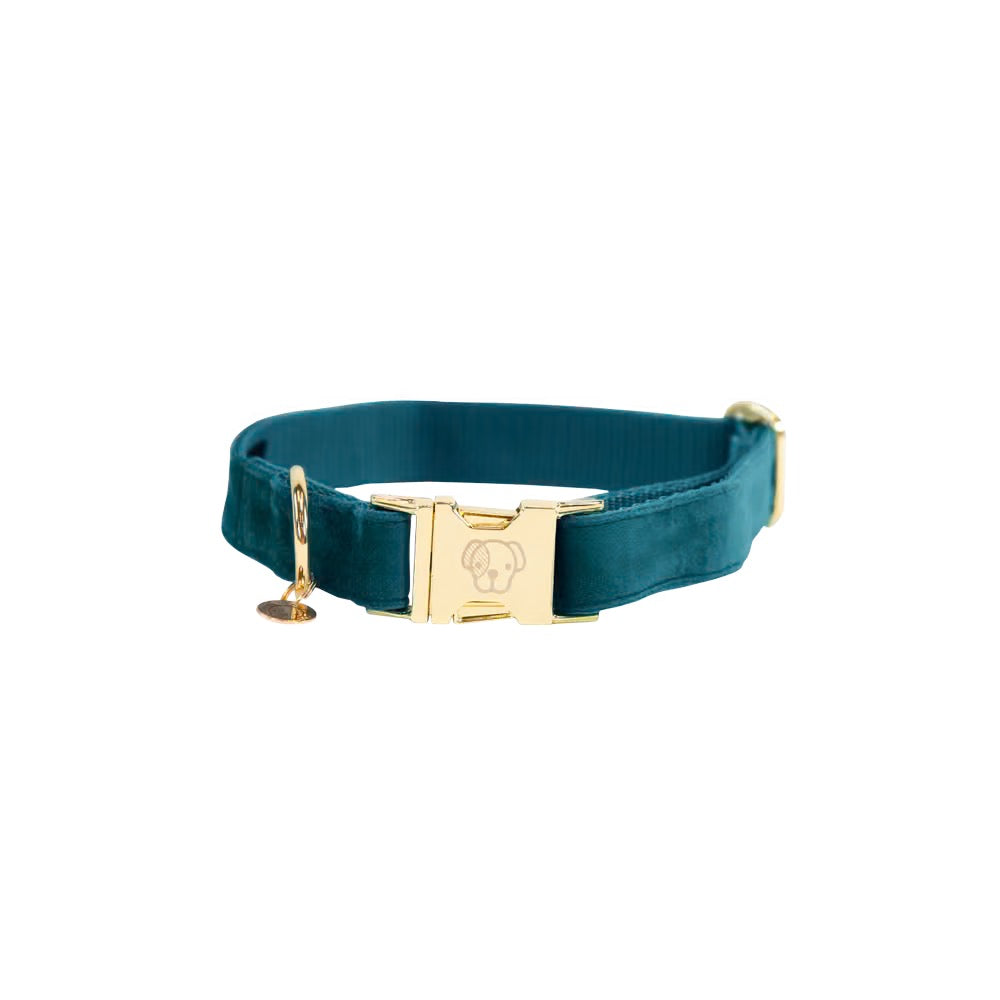 Kentucky Horsewear Dog Collar Velvet