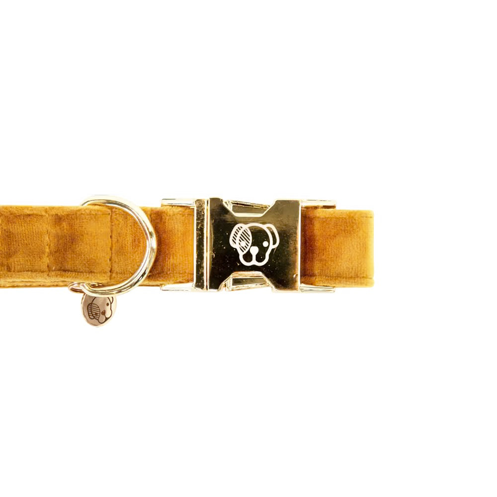 Kentucky Horsewear Dog Collar Velvet