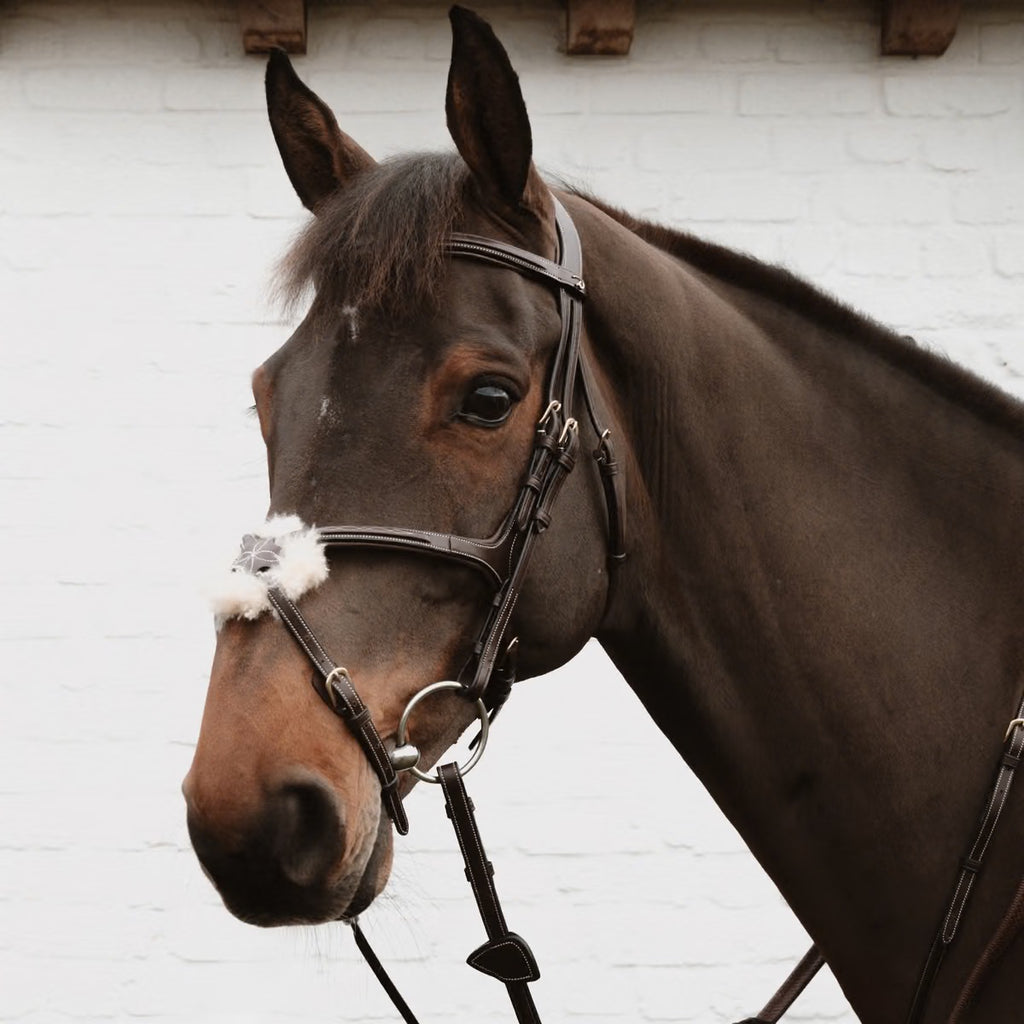 Dyon Figure 8 Noseband with Chain