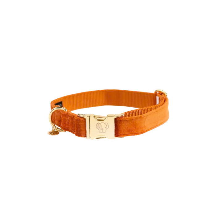 Kentucky Horsewear Dog Collar Velvet