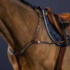 Dyon Anatomical Breastplate