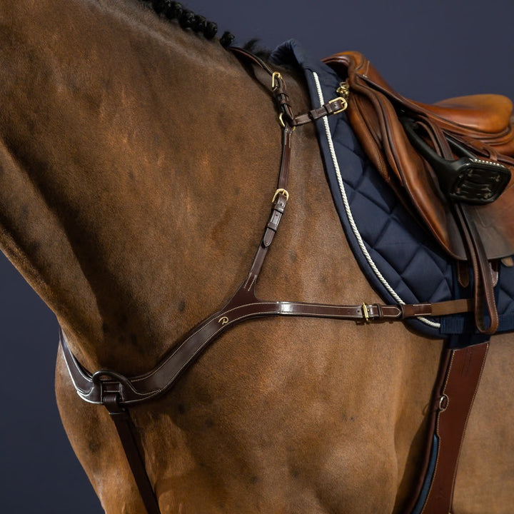 Dyon Anatomical Breastplate