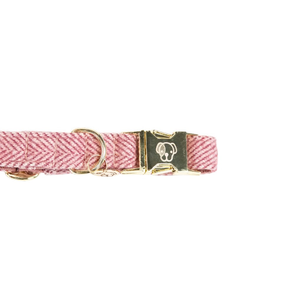 Kentucky Horsewear Dog Collar Wool