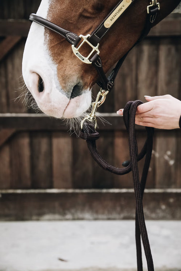 Kentucky Horsewear Lead Rope Loop