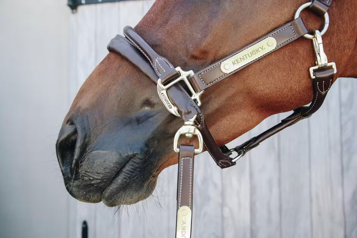 Kentucky Horsewear Leather Covered Chain Lead