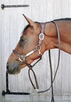 Kentucky Horsewear Leather Covered Chain Lead