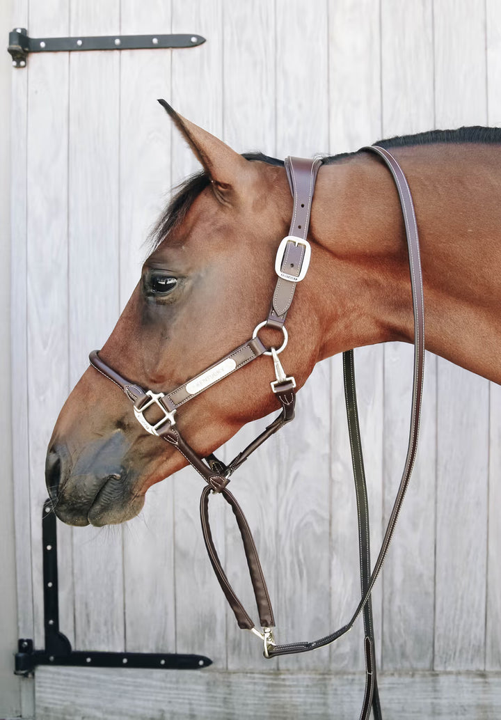 Kentucky Horsewear Leather Covered Chain Lead