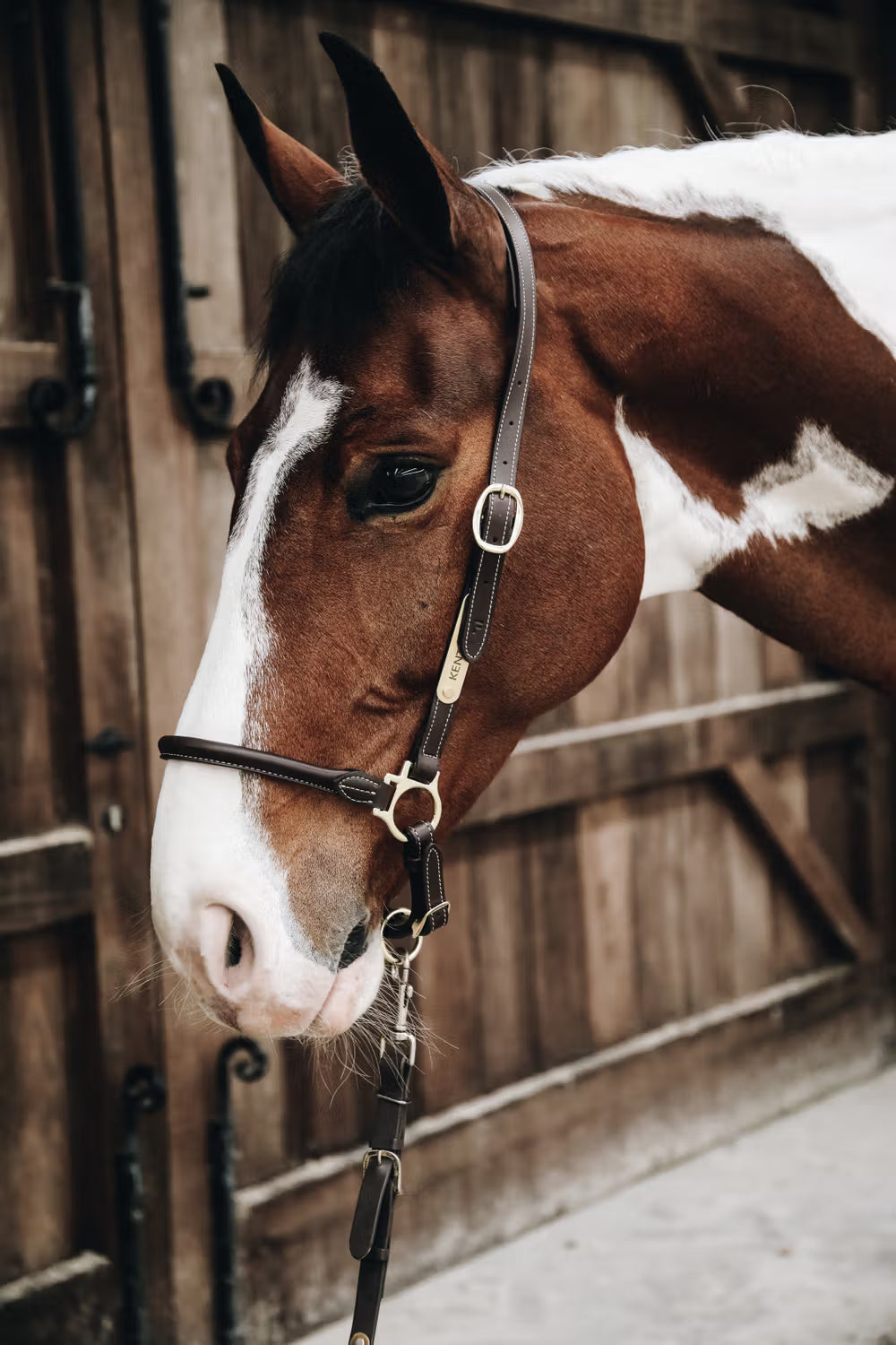 Kentucky Horsewear Leather Grooming Halter