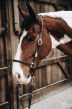 Kentucky Horsewear Leather Grooming Halter