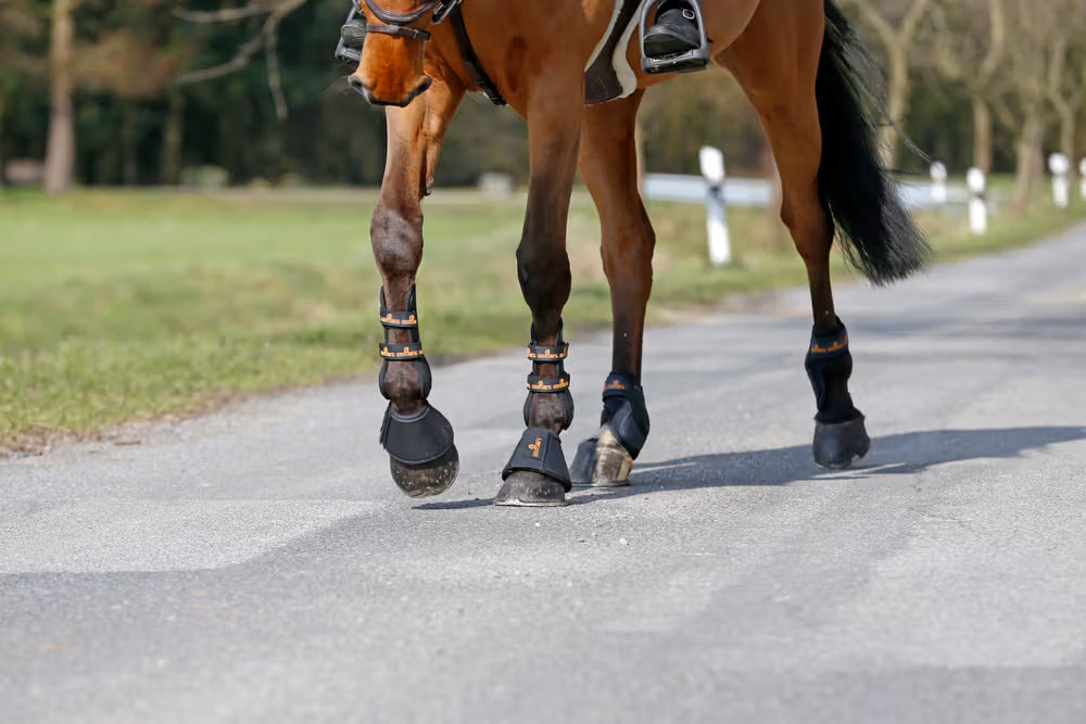 Kentucky Horsewear Leather Overreach Boots