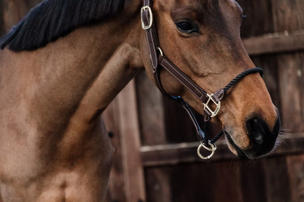 Kentucky Horsewear Leather Rope Halter