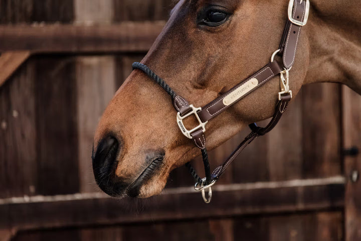 Kentucky Horsewear Leather Rope Halter