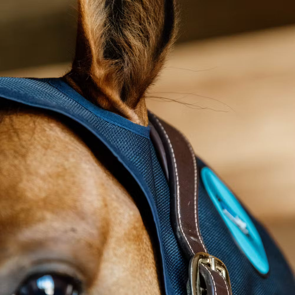 Kentucky Magnetic Neck Protector Recuptex