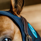 Kentucky Magnetic Neck Protector Recuptex