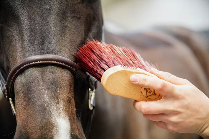 Kentucky Horsewear Middle Brush Long