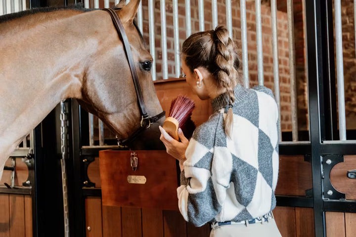 Kentucky Horsewear Middle Brush Long