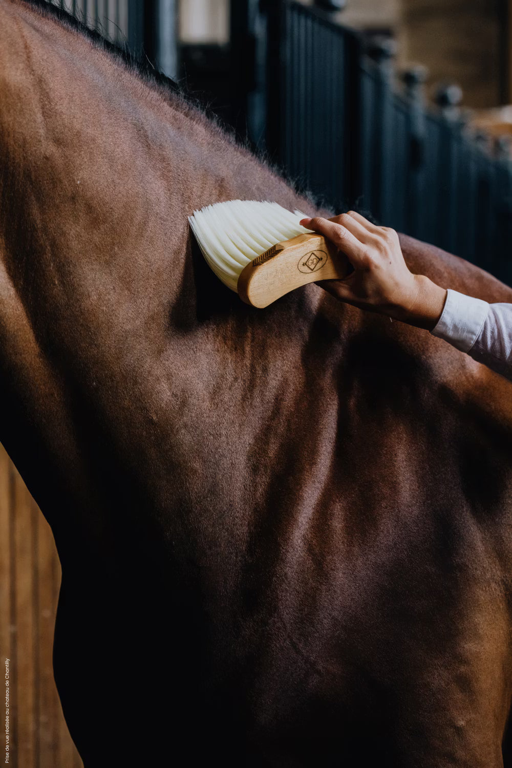 Kentucky Horsewear Middle Brush Long