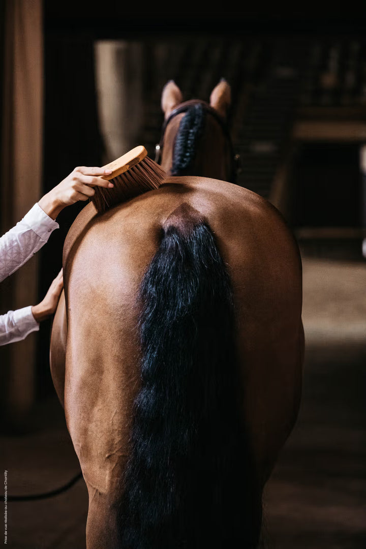 Kentucky Horsewear Middle Brush Medium
