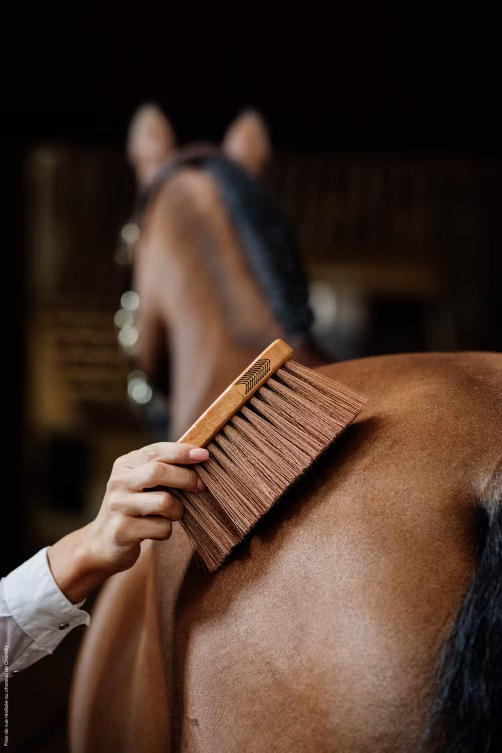 Kentucky Horsewear Middle Brush Medium
