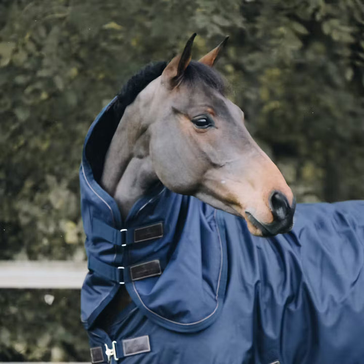 Kentucky Horsewear Neck All Weather Waterproof Pro 150G