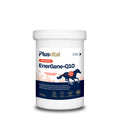 Plusvital EnerGene Q10 - CoQ10 Supplement for Horses