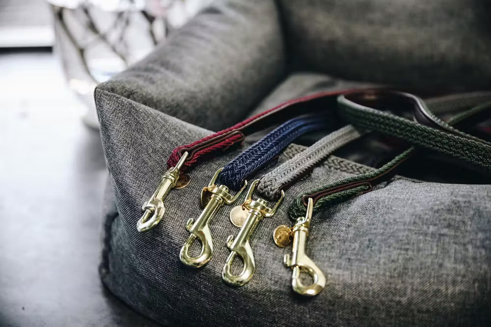 Kentucky Horsewear Plaited Nylon Dog Lead 2M