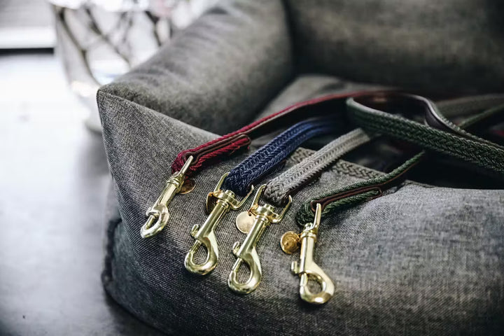 Kentucky Horsewear Plaited Nylon Dog Lead 2M