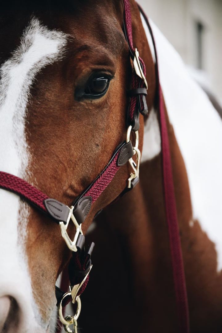 Kentucky Horsewear Plaited Nylon Halter