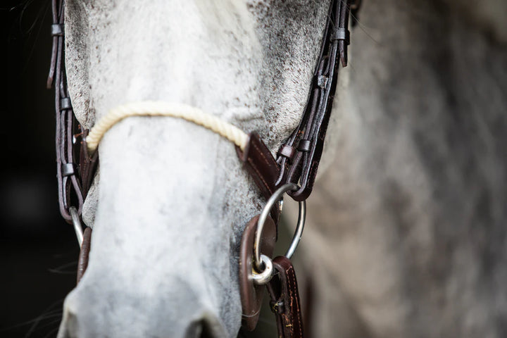Walsh Rope Noseband