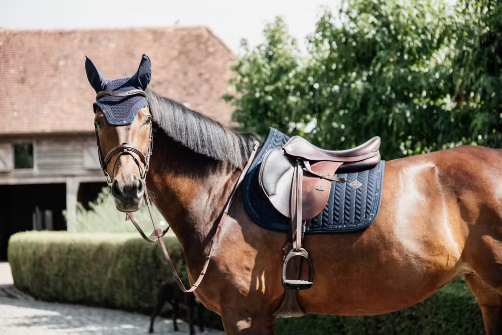 Kentucky Horsewear Saddle Pad Glitter Stone Jumping