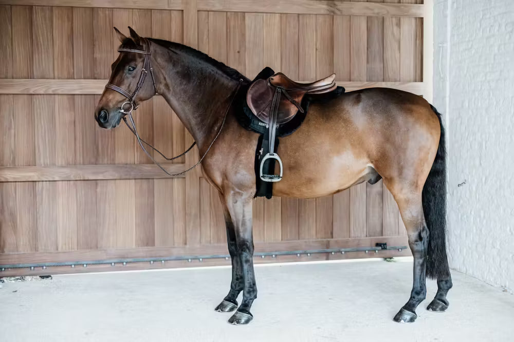 Kentucky Horsewear Saddle Pad Hunter vegan sheepskin jumping