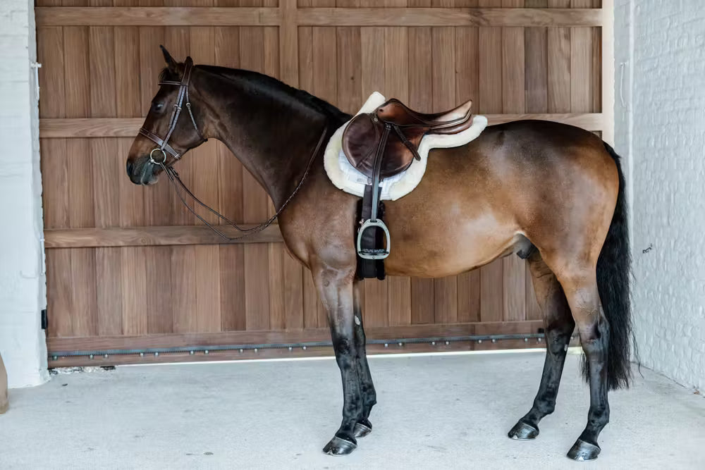 Kentucky Horsewear Saddle Pad Hunter vegan sheepskin jumping