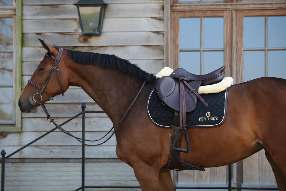 Kentucky Horsewear Saddle Pad With Logo