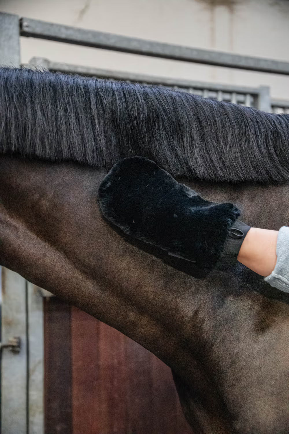 Kentucky Horsewear Sheepskin Grooming Glove
