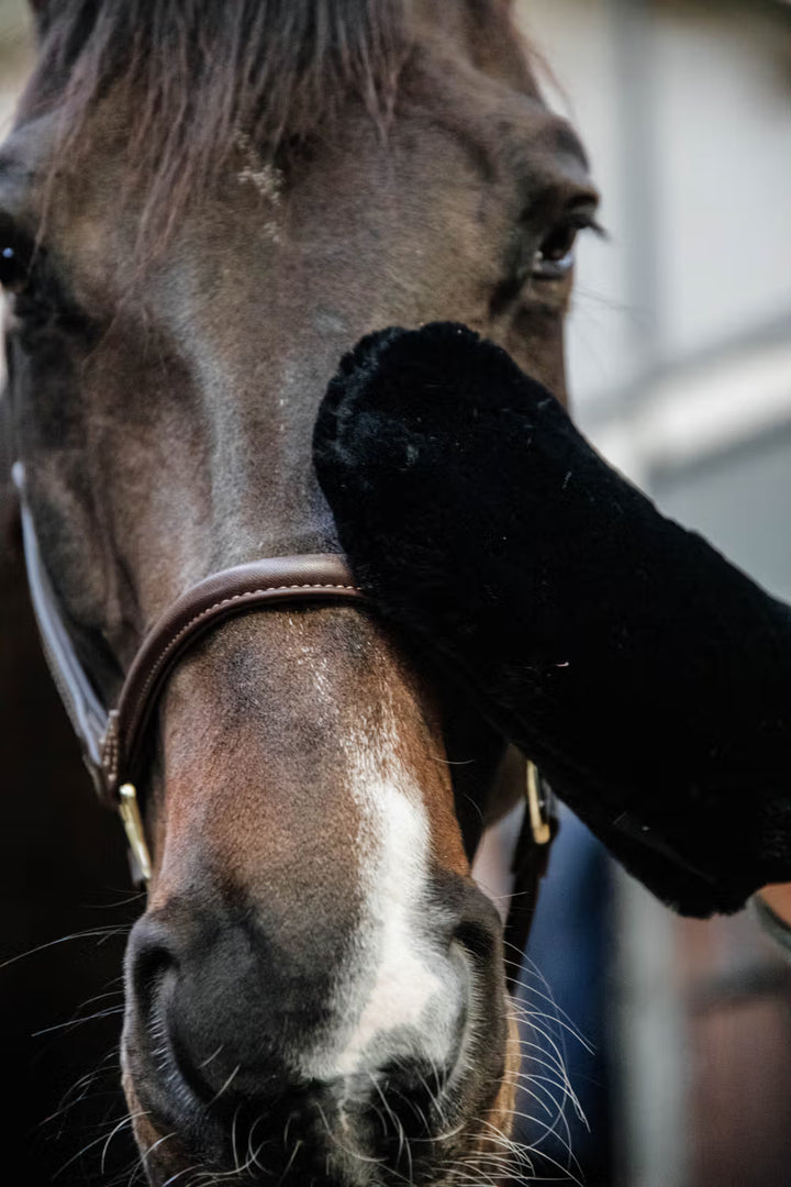 Kentucky Horsewear Sheepskin Grooming Glove