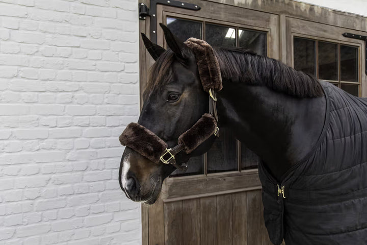 Kentucky Horsewear Sheepskin Halter Set 4 Pieces