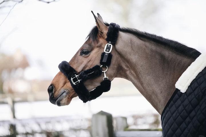 Kentucky Horsewear Sheepskin Shipping Halter