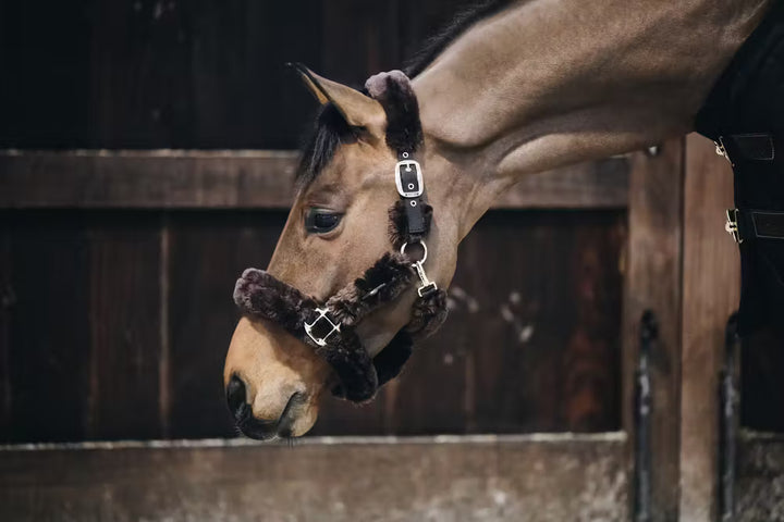 Kentucky Horsewear Sheepskin Shipping Halter