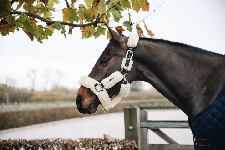 Kentucky Horsewear Sheepskin Shipping Halter