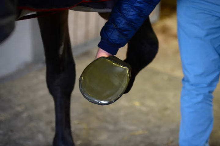 Kentucky Horsewear Sole Tape